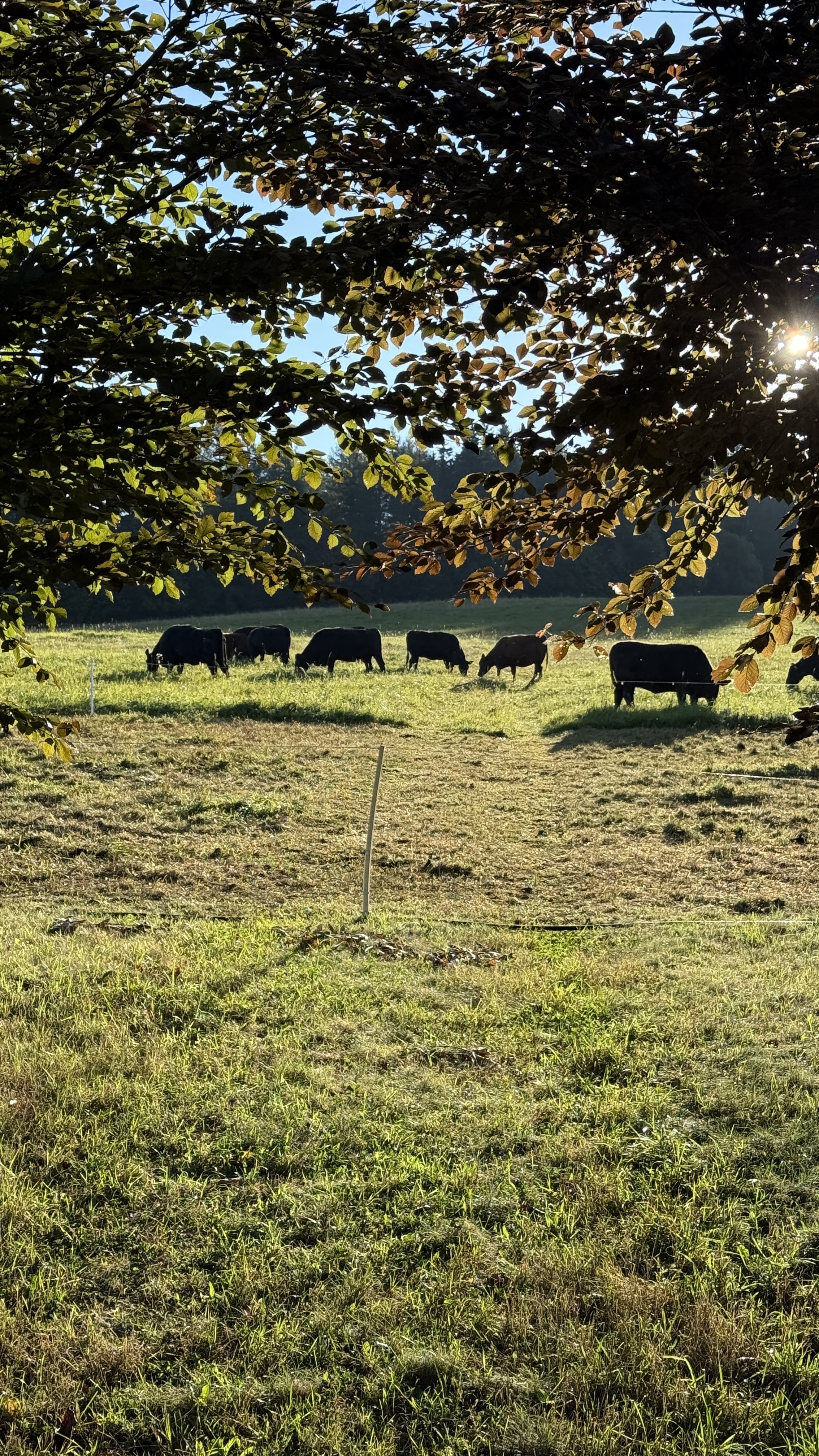 Farma Ehl – foto 3