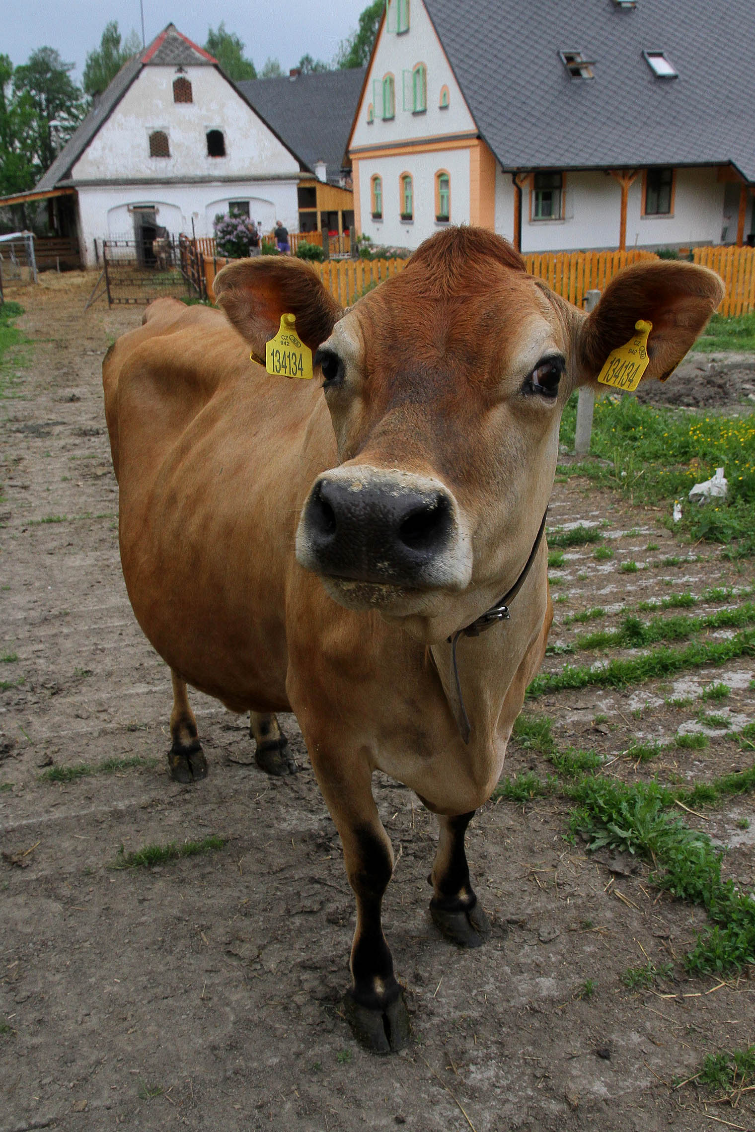 Farma V30 Heřmanice – foto 2