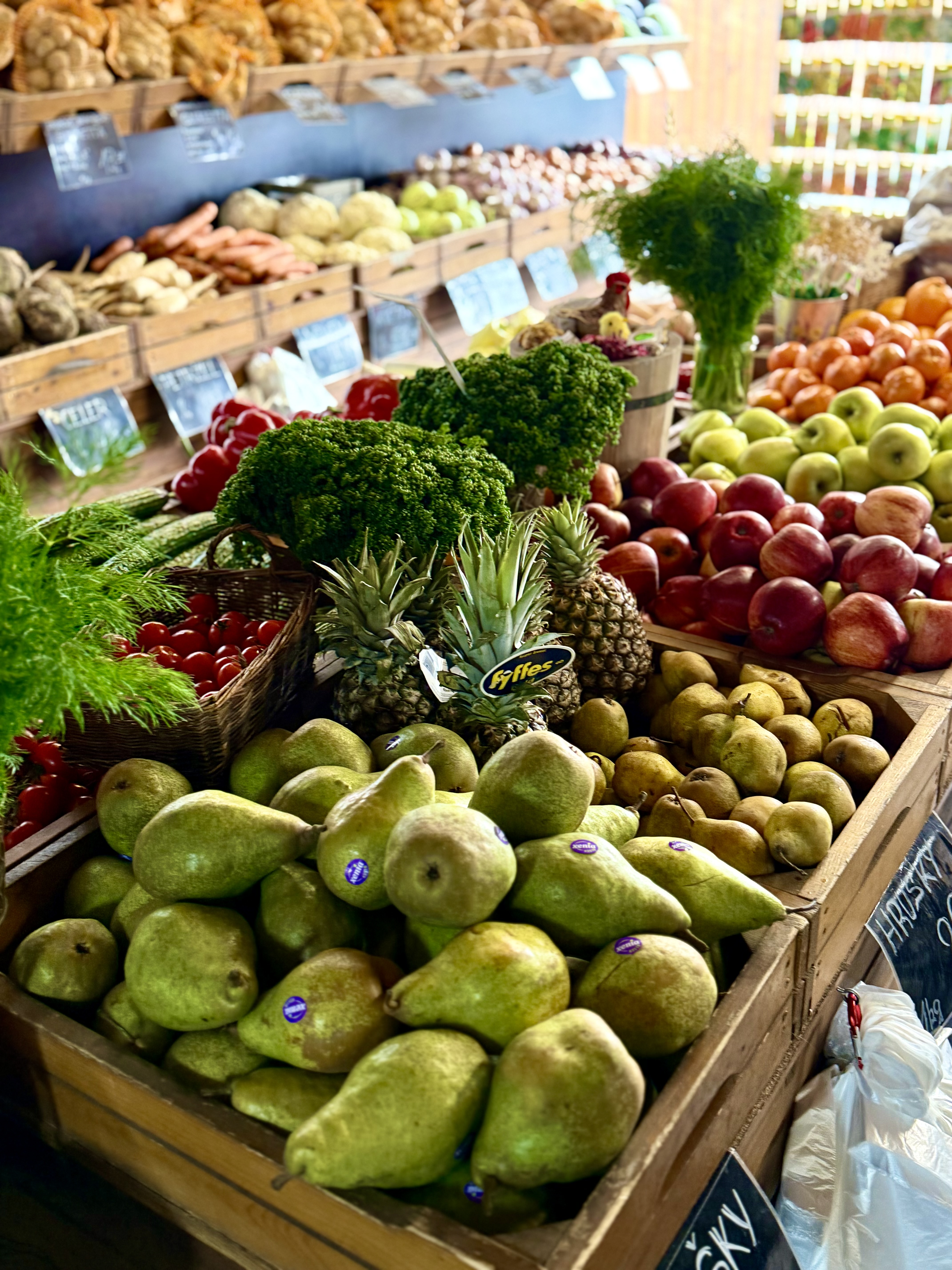 Farma Jahodárna Brozany – foto 2