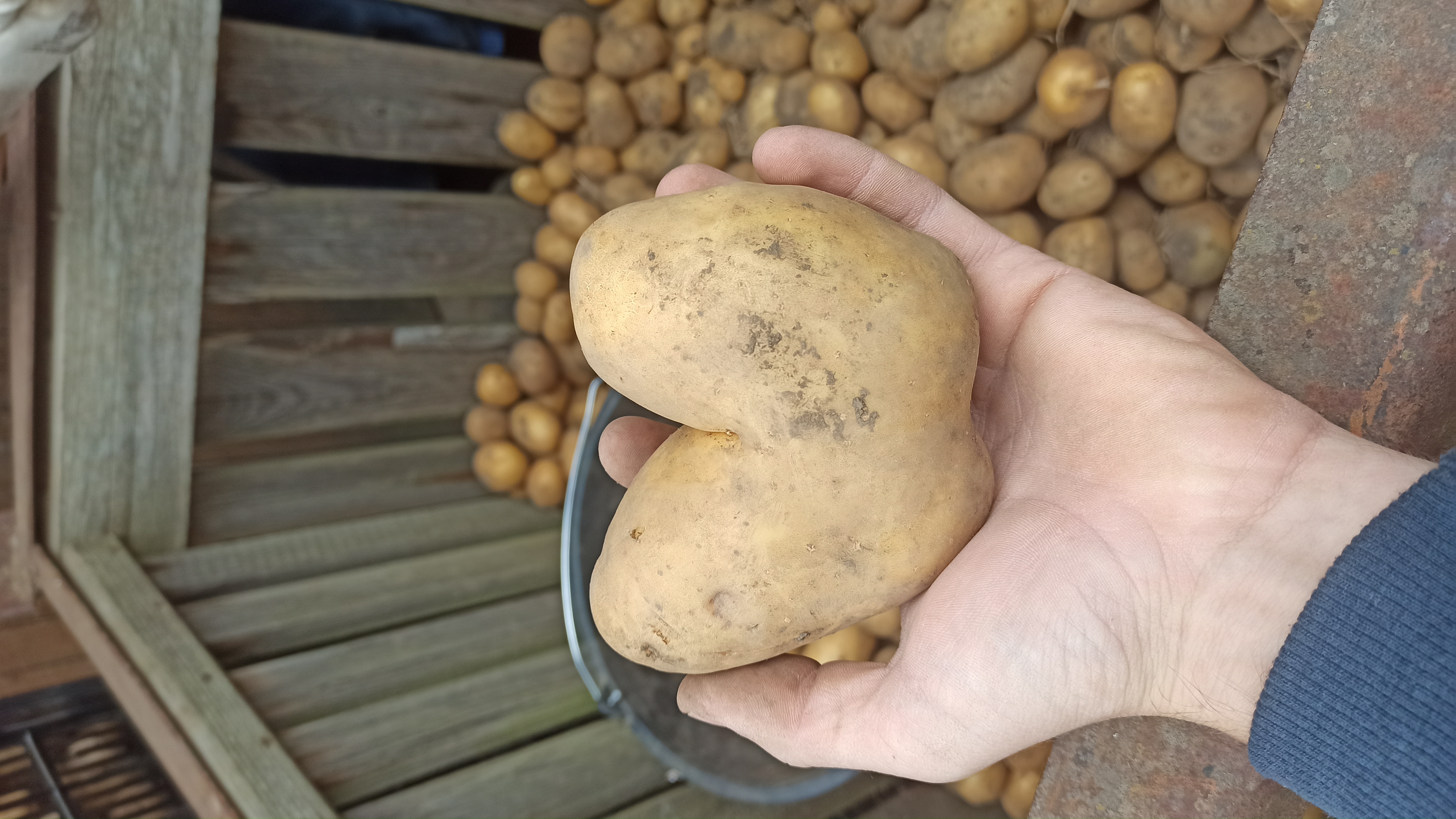 Farma Krajča – foto 2
