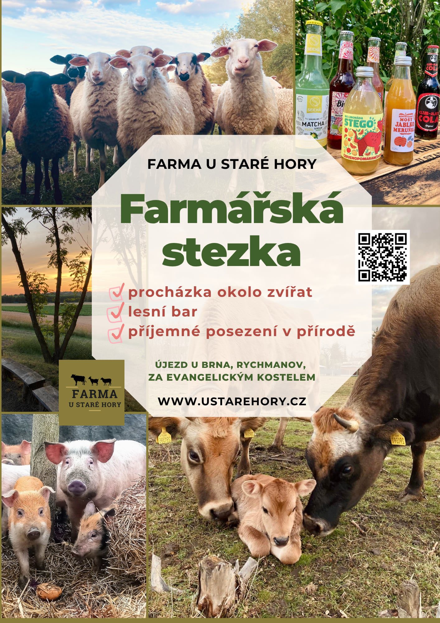Farma u Staré hory – foto 3