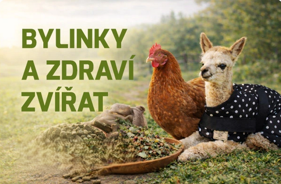 LazyFarm – foto 3