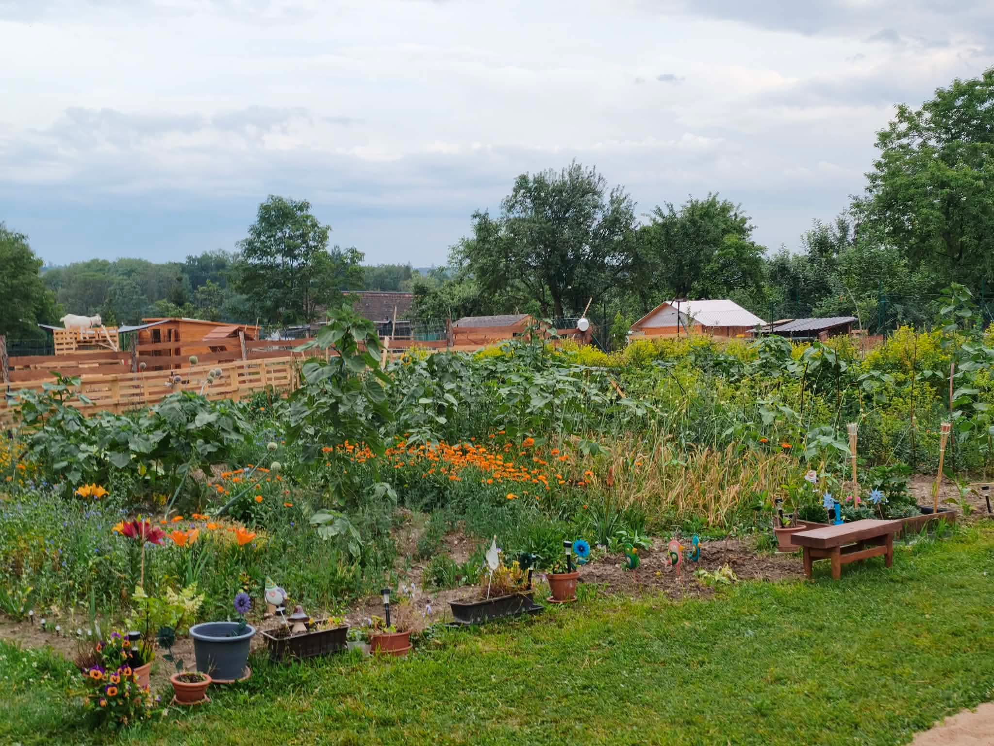 U Hajdúchů rodinná farma – foto 2