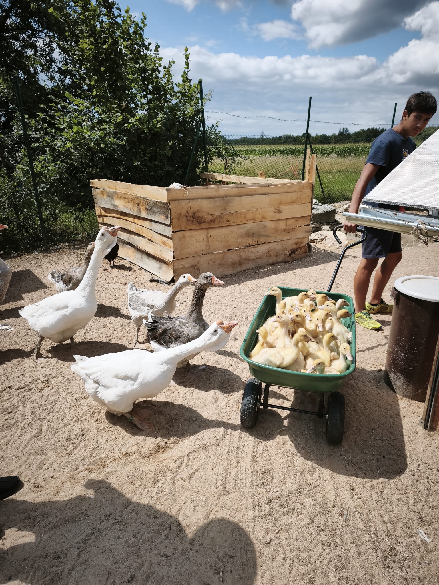 U Hajdúchů rodinná farma – foto 3